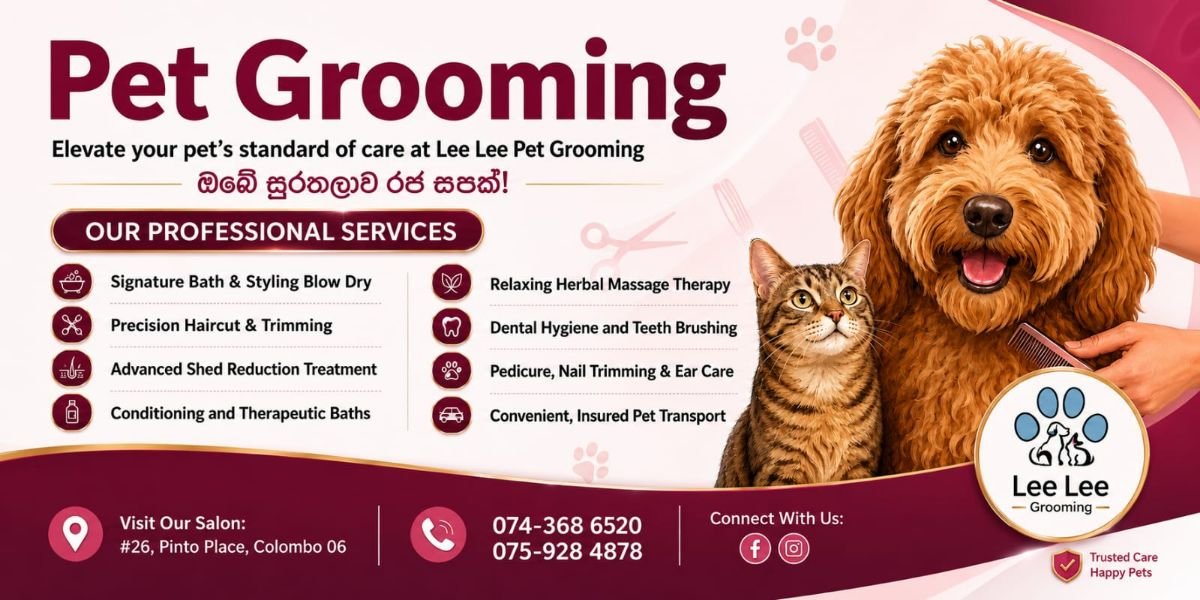 LILY BY DILA pet lifestyle image 2