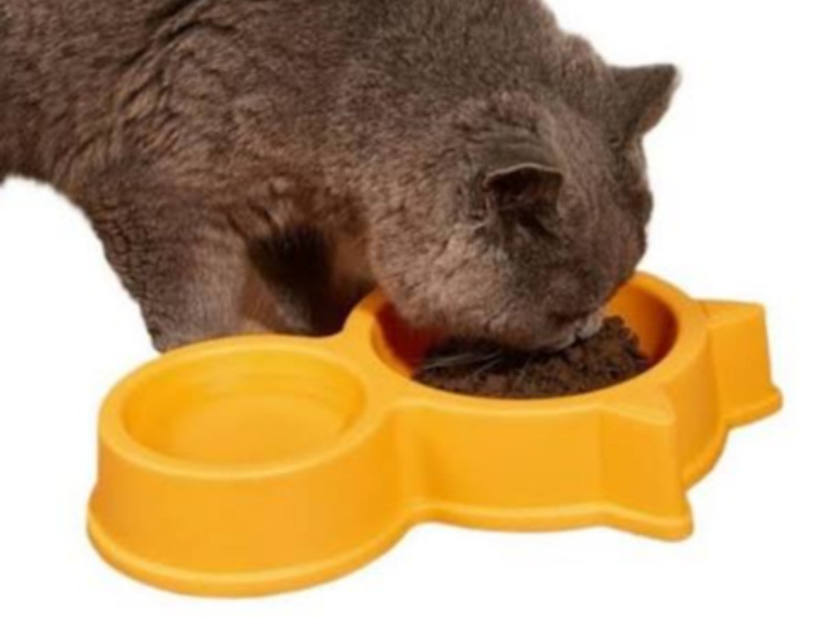 FOOD AND WATER BOWL