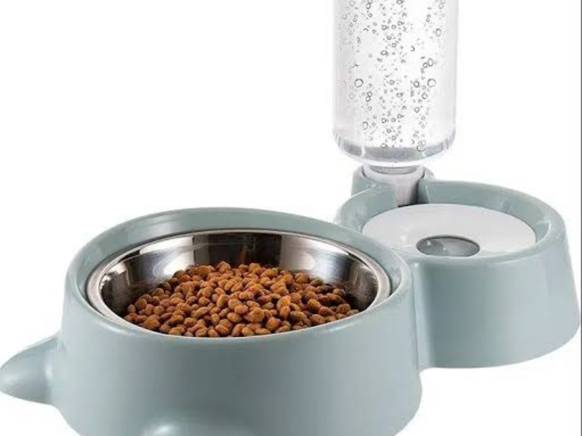 FOOD BOWL & WATER DISPENSER