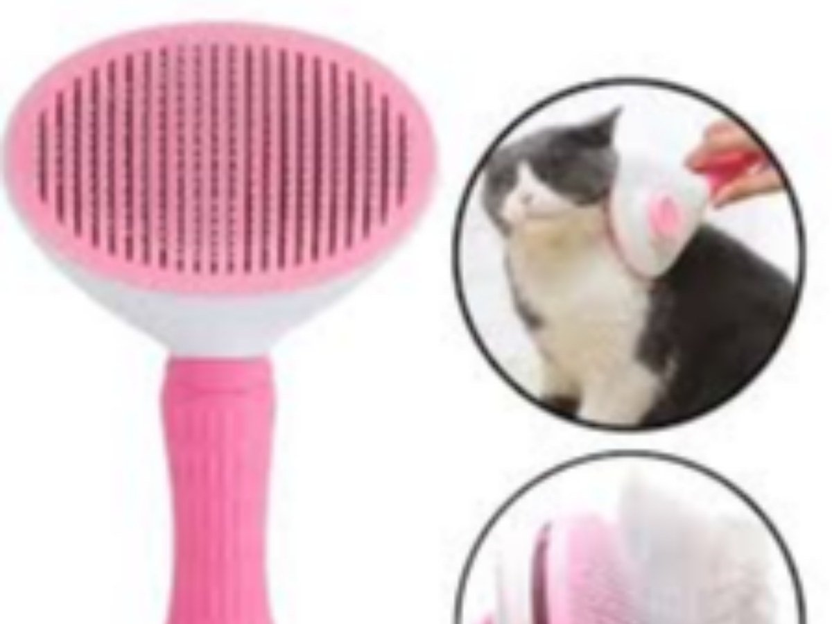GROOMING BRUSH-MEDIUM-OVAL