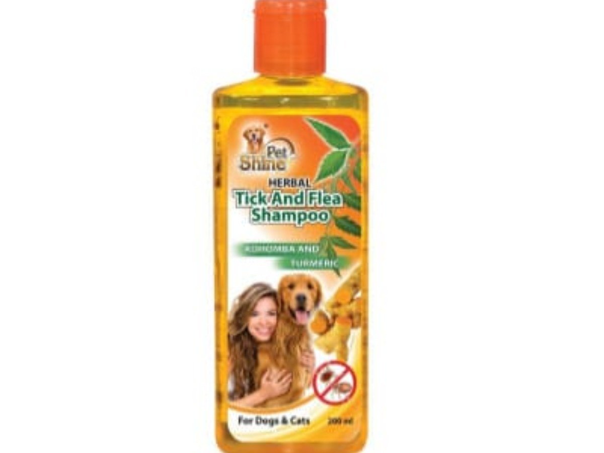 SHAMPOO-200ML-TICK & FLEA -KOHOMBA & TURMARIC