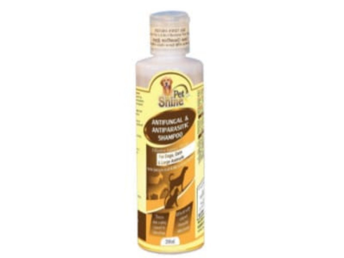 SHAMPOO-200ML-ANTIFUNGAL & ANTIPARASITIC