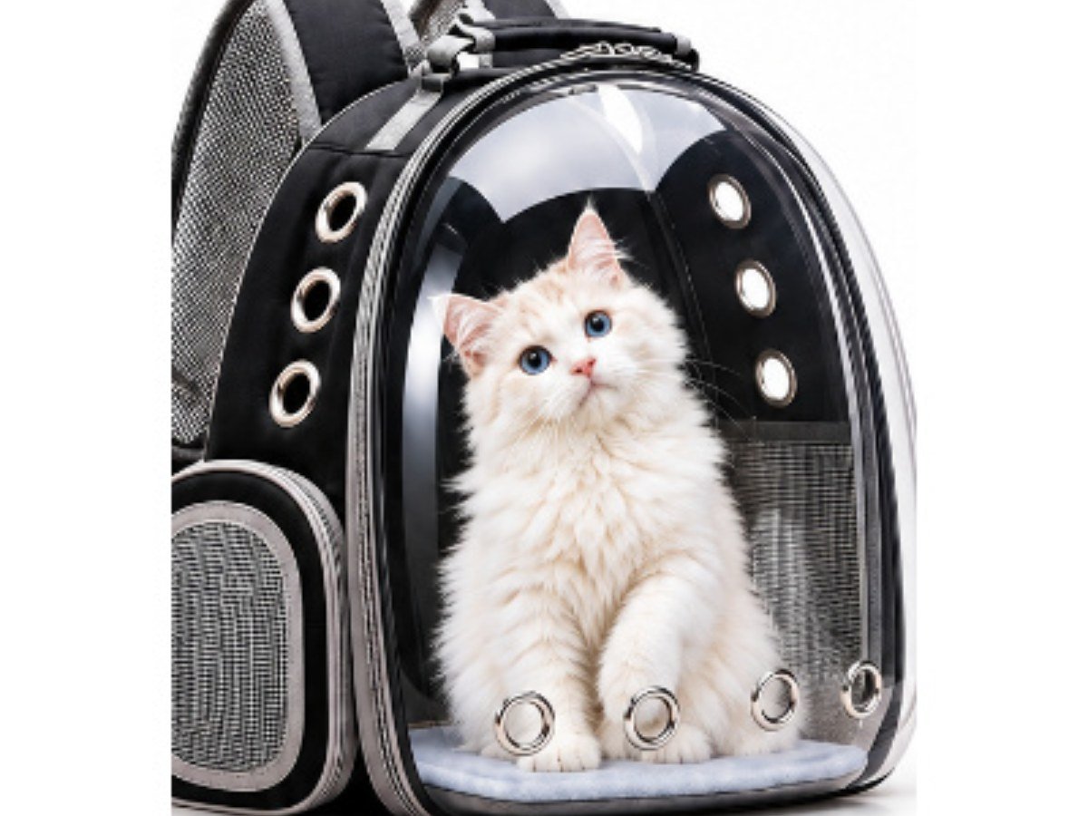 CARRIER - BACKPACK - CAT