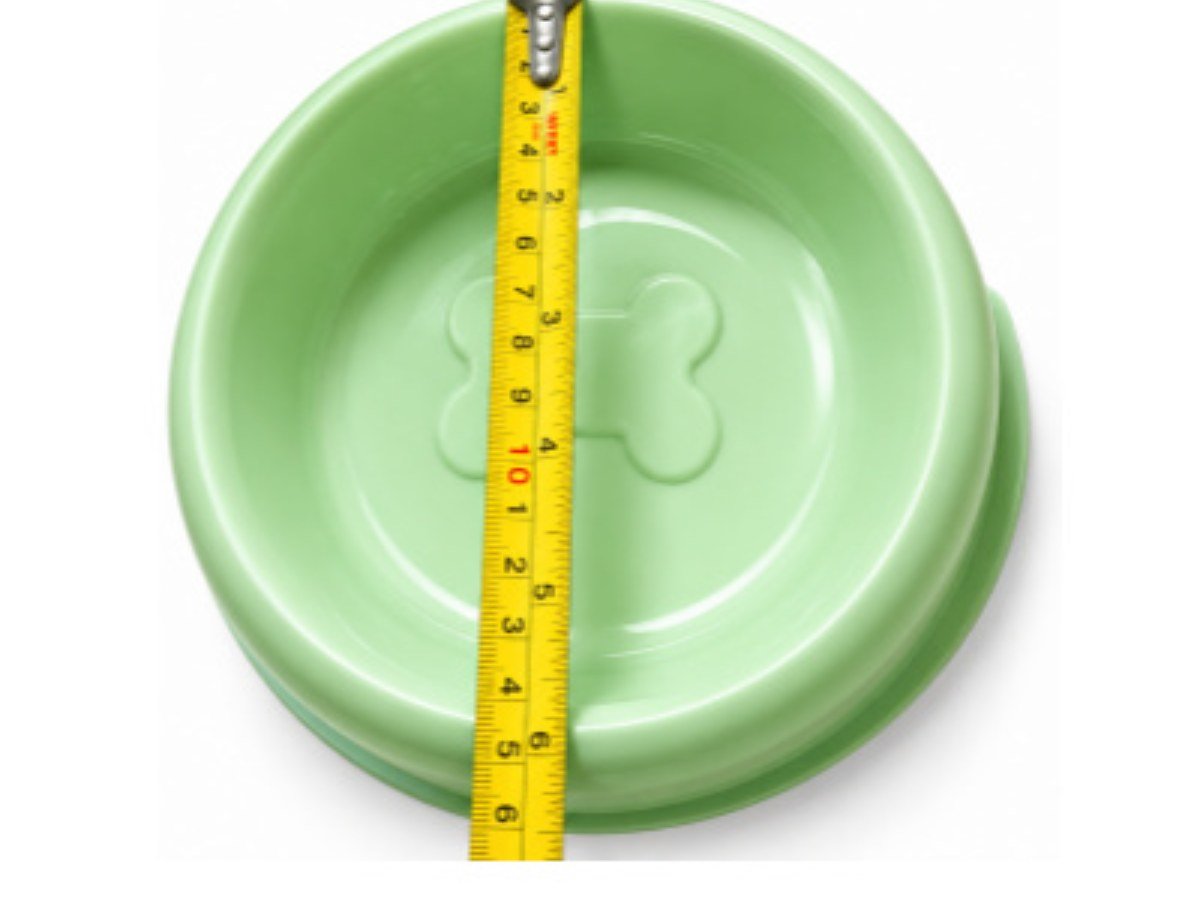 FOOD BOWL 6"