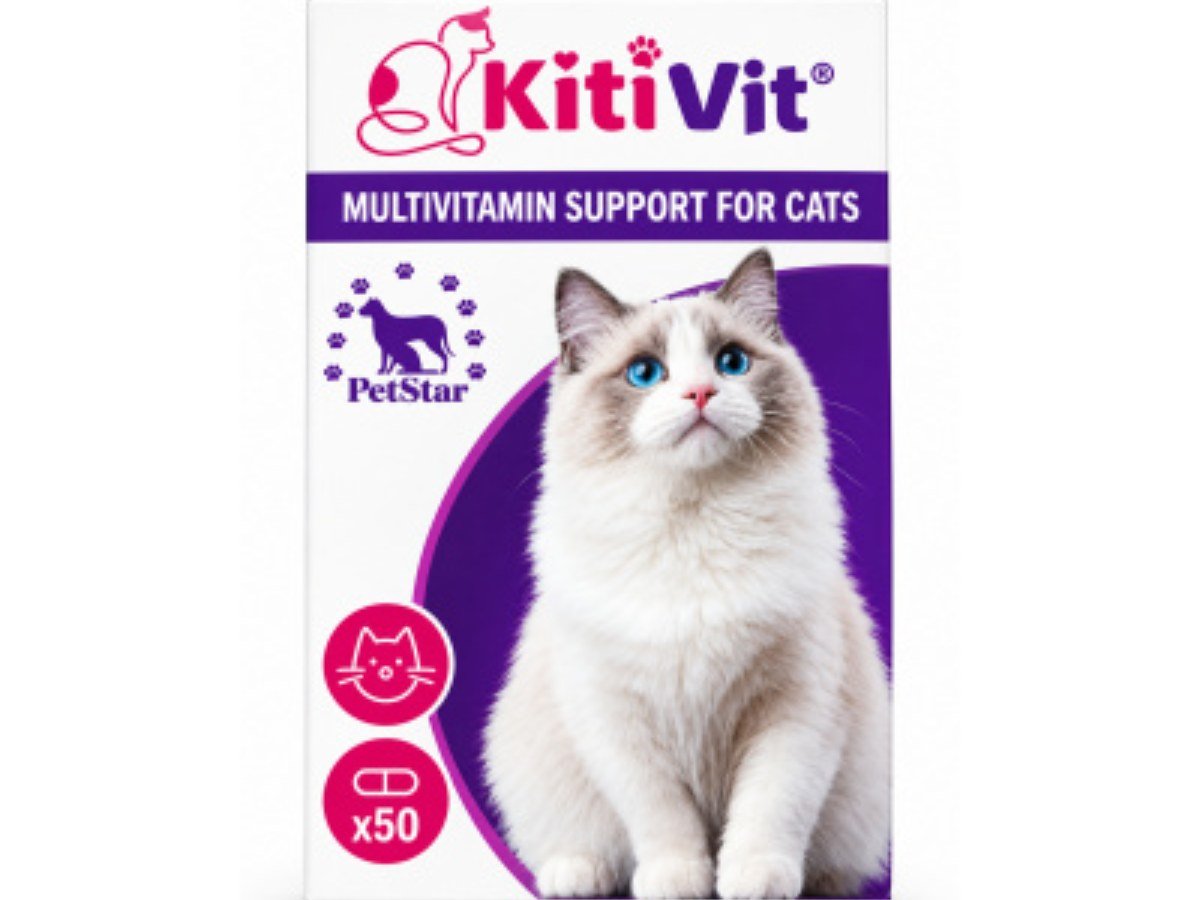 MULTIVITAMIN SUPPORT  - 50 TABLETS